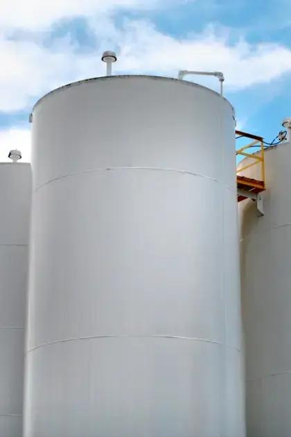 Principais características do reservatório tipo taça