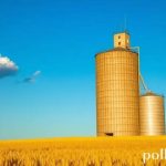Silo de Grãos: Tudo o Que Você Precisa Saber para Armazenagem