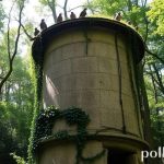 Caixa d'água antiga: Guia Definitivo para Substituição Segura