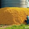 Silo de Milho: Guia Definitivo para Produção e Rentabilidade