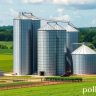 Silos de Grãos: O Guia Completo para Armazenagem Eficiente